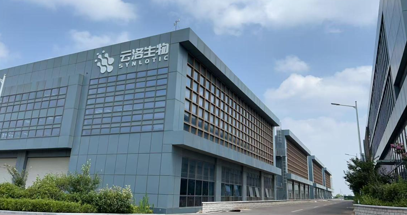 Топло добредојде до секретарот Ли Јонггуанг за распоредот на градежните работи на проектот Шандонг Јунлуо на лице место!