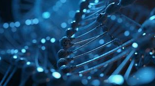 Ерготионеин: „Антиоксидантното злато“ во прехранбената здравствена индустрија